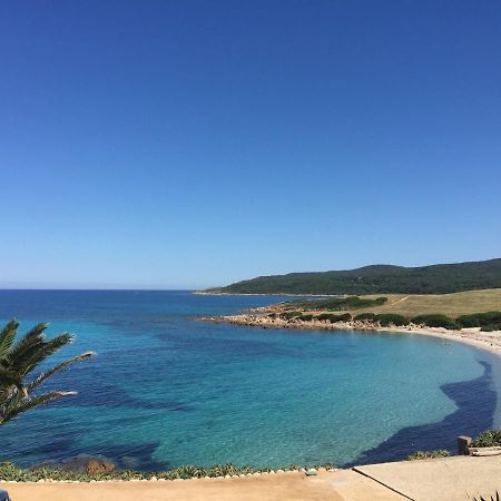 Ajaccio Magnifique T2 45m2 neuf 5 personnes Clim wifi stationnement gratuit centre ville plage à 300m Esterno foto