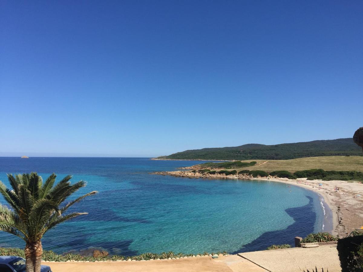 Ajaccio Magnifique T2 45m2 neuf 5 personnes Clim wifi stationnement gratuit centre ville plage à 300m Esterno foto