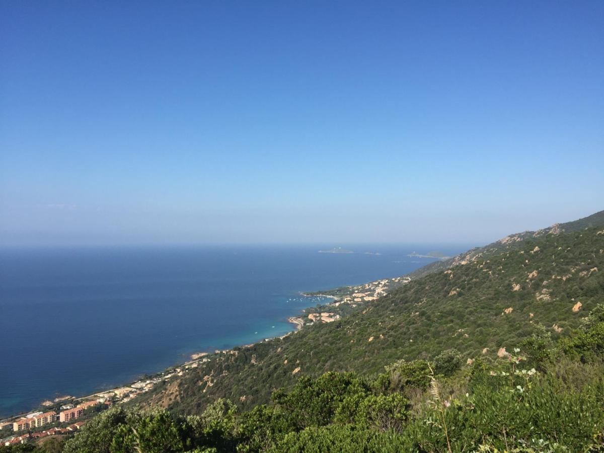 Ajaccio Magnifique T2 45m2 neuf 5 personnes Clim wifi stationnement gratuit centre ville plage à 300m Esterno foto