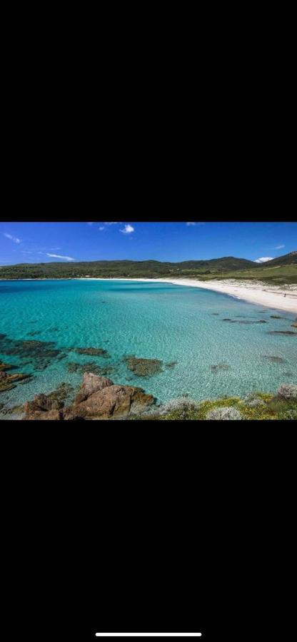 Ajaccio Magnifique T2 45m2 neuf 5 personnes Clim wifi stationnement gratuit centre ville plage à 300m Esterno foto